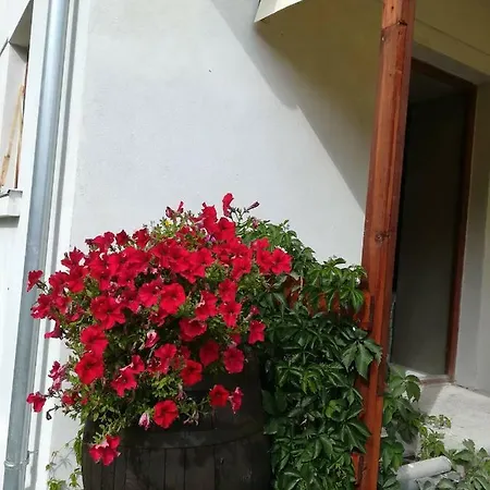 Dovolenkovy Dom Rybka Prázdninový dům *