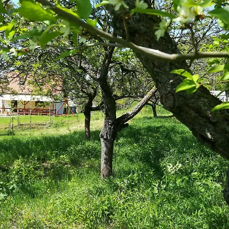 Dovolenkovy Dom Rybka * Kamenica nad Hronom