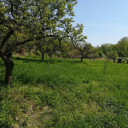 Dovolenkovy Dom Rybka Prázdninový dům